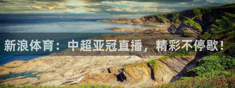 新浪体育：中超亚冠直播，精彩不停歇！
