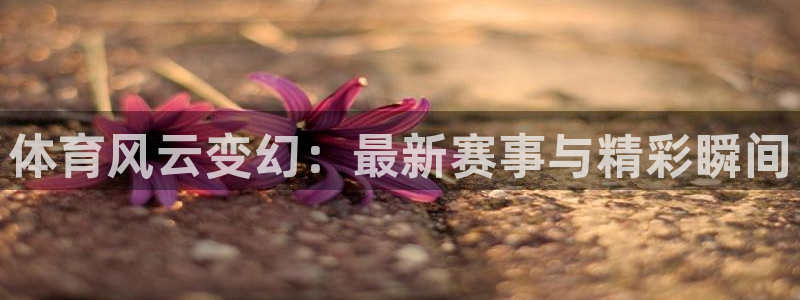 新闻图片