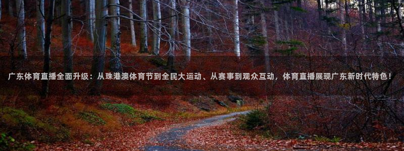 广东体育直播全面升级：从珠港澳体育节到全民大运动、从赛事到观众互动，体育直播展现广东新时代特色！