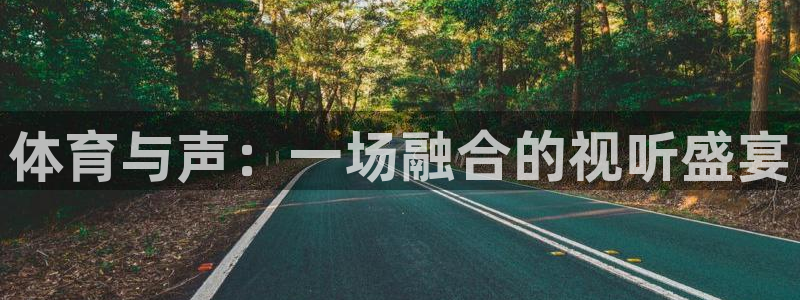 体育与声：一场融合的视听盛宴