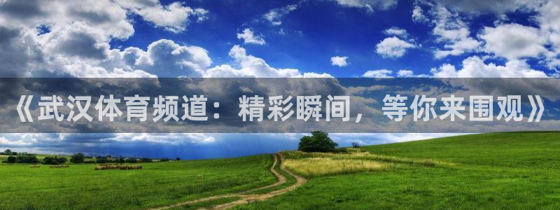 《武汉体育频道：精彩瞬间，等你来围观》