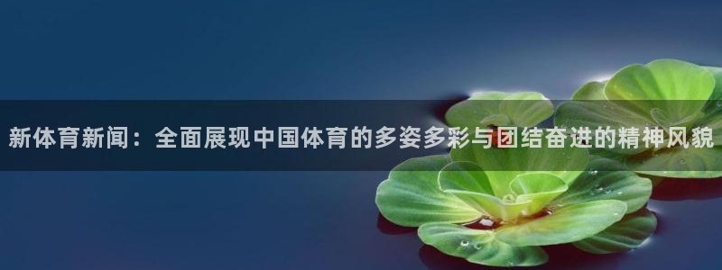新体育新闻：全面展现中国体育的多姿多彩与团结奋进的精神风貌