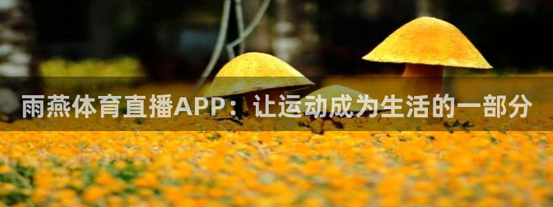 雨燕体育直播APP：让运动成为生活的一部分